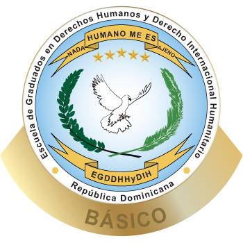 Medalla Curso Basico Derechos Humanos